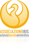 ibis